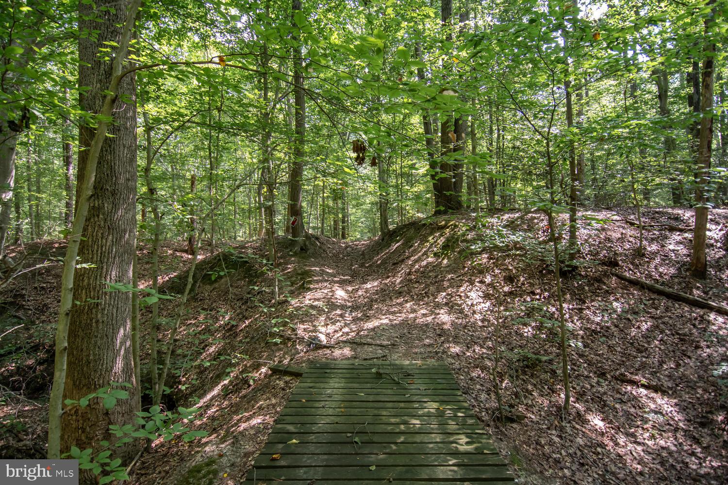 Boston Cliff Road Easton, MD 21601 - Photo 4 of 19 Gallery Image 4