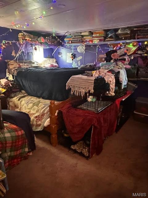 761 Harlow Road Mountain View, MO 65548 - Photo 11 of 28