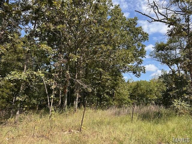 761 Harlow Road Mountain View, MO 65548 - Photo 17 of 28