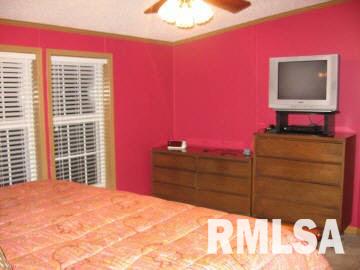 937 Community Beach Road Centralia, IL 62801 - Photo 3 of 10