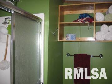 937 Community Beach Road Centralia, IL 62801 - Photo 8 of 10