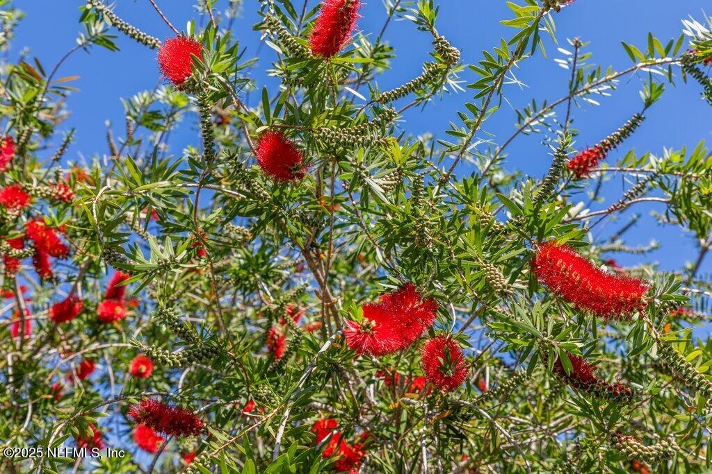 1008 Lido Road Jacksonville, FL 32216 - Photo 45 of 52 055-1008LidoRoad-Jacksonville-FL-32216-S