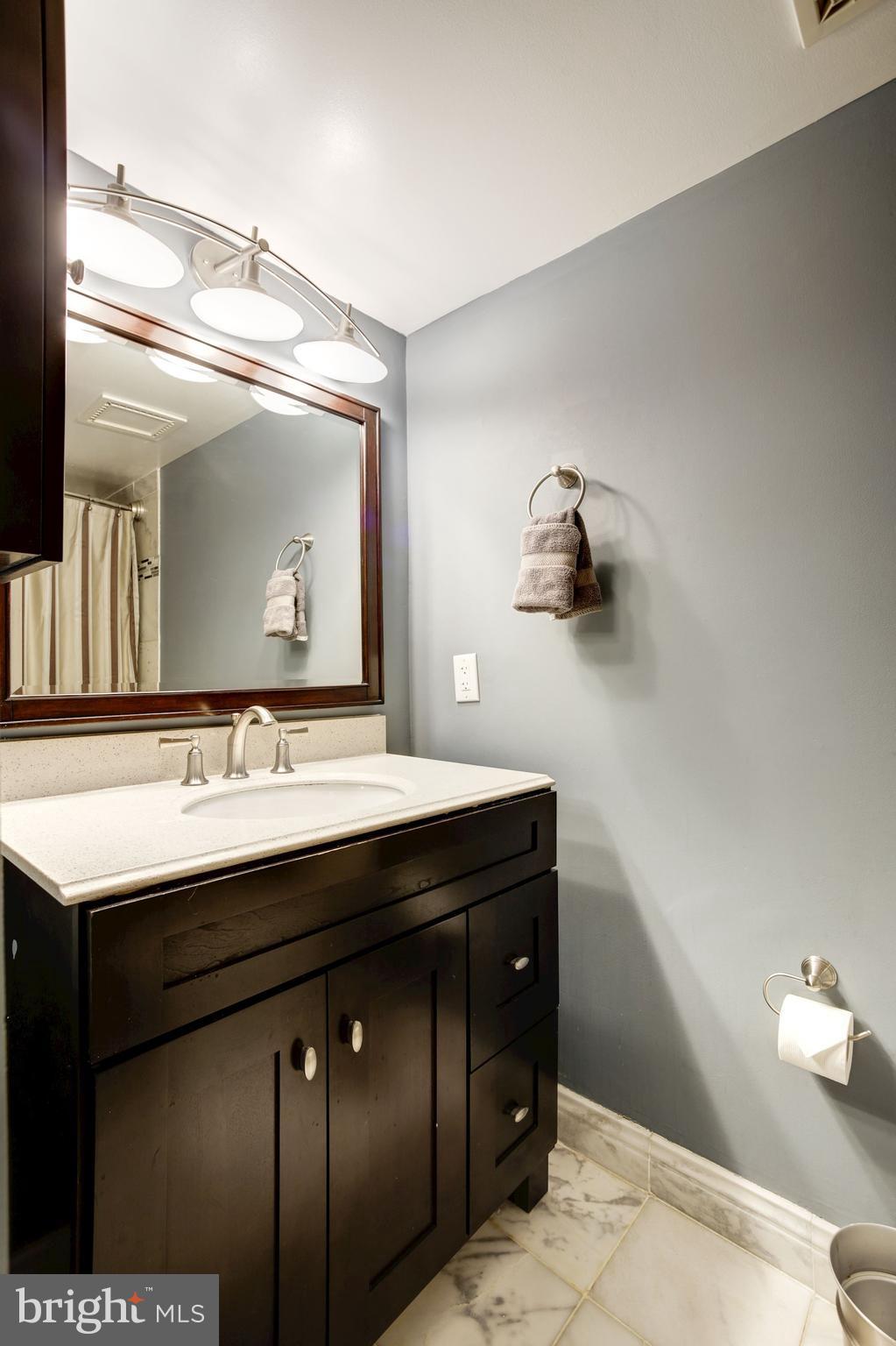 1808 Old Meadow Road, Unit 1403 McLean, VA 22102 - Photo 21 of 30 a bathroom with a sink and a mirror