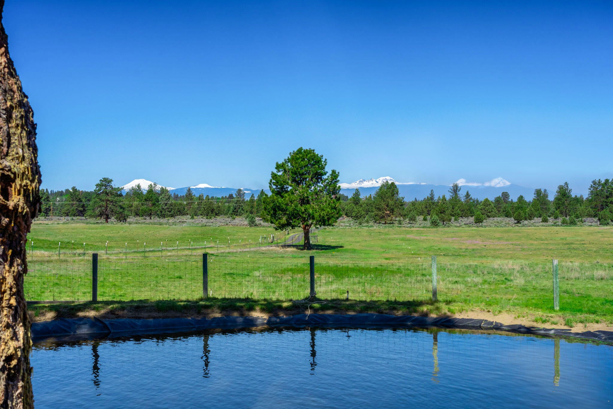 60640 Arnold Market Road Bend, OR 97702 - Photo 4 of 42 2024_05_16_60640_arnold_market_road-3