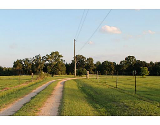 190 Webb Dairy Road Lucedale, MS 39452 - Photo 19 of 25 Additional Photo