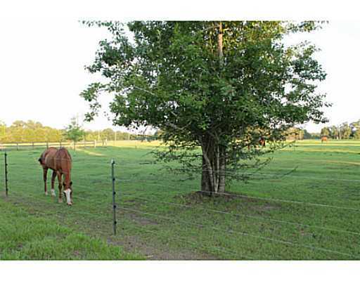 190 Webb Dairy Road Lucedale, MS 39452 - Photo 20 of 25 Additional Photo