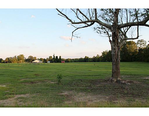 190 Webb Dairy Road Lucedale, MS 39452 - Photo 22 of 25 Additional Photo