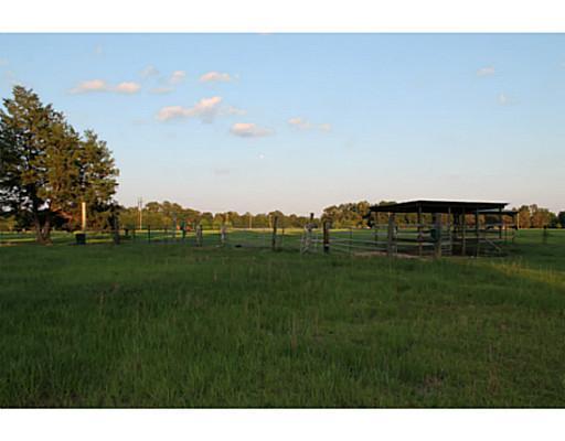 190 Webb Dairy Road Lucedale, MS 39452 - Photo 23 of 25 Additional Photo