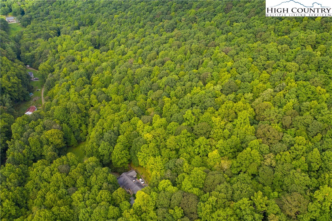 136 Hidden Circle Boone, NC 28607 - Photo 38 of 38 a view of a lush green forest