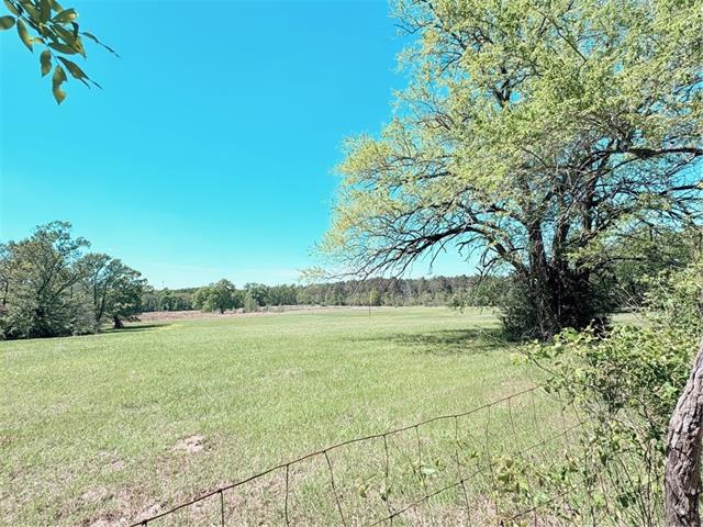 307 Big Island Loop Deville, LA 71328 - Photo 3 of 3