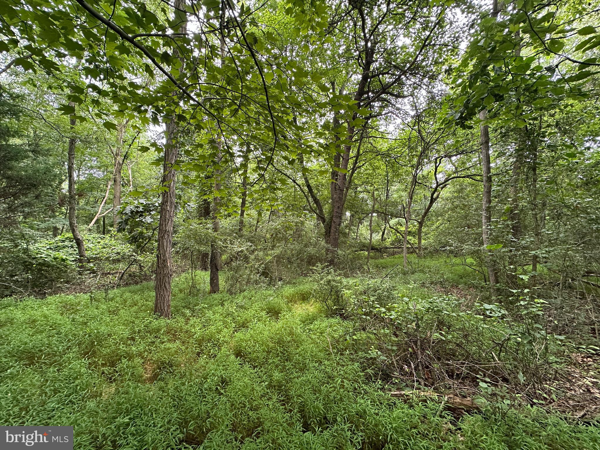 9-acres Polidor Road Waynesboro, PA 17268 - Photo 14 of 20