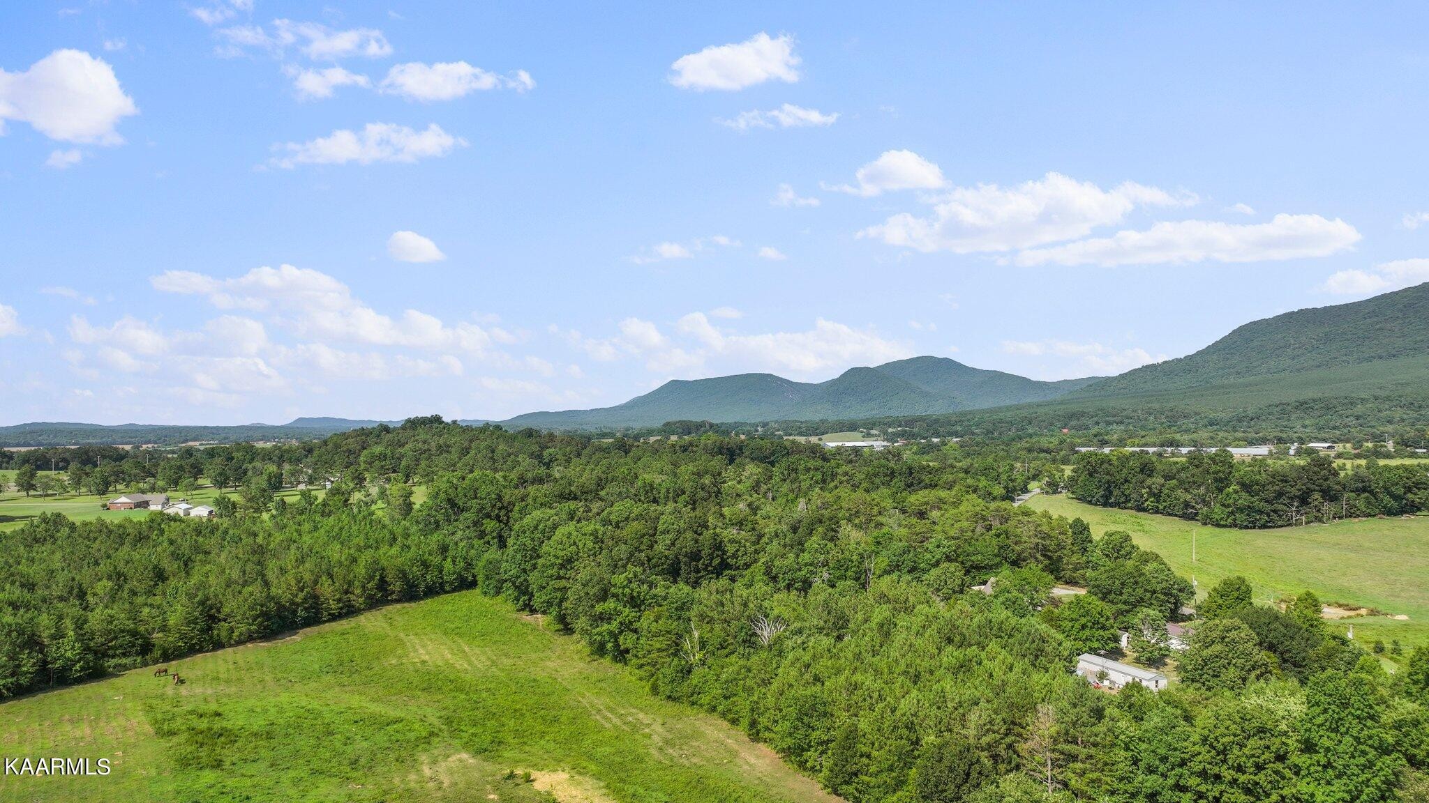 321 Lillard Road Benton, TN 37307 - Photo 44 of 50 Gallery Image 44