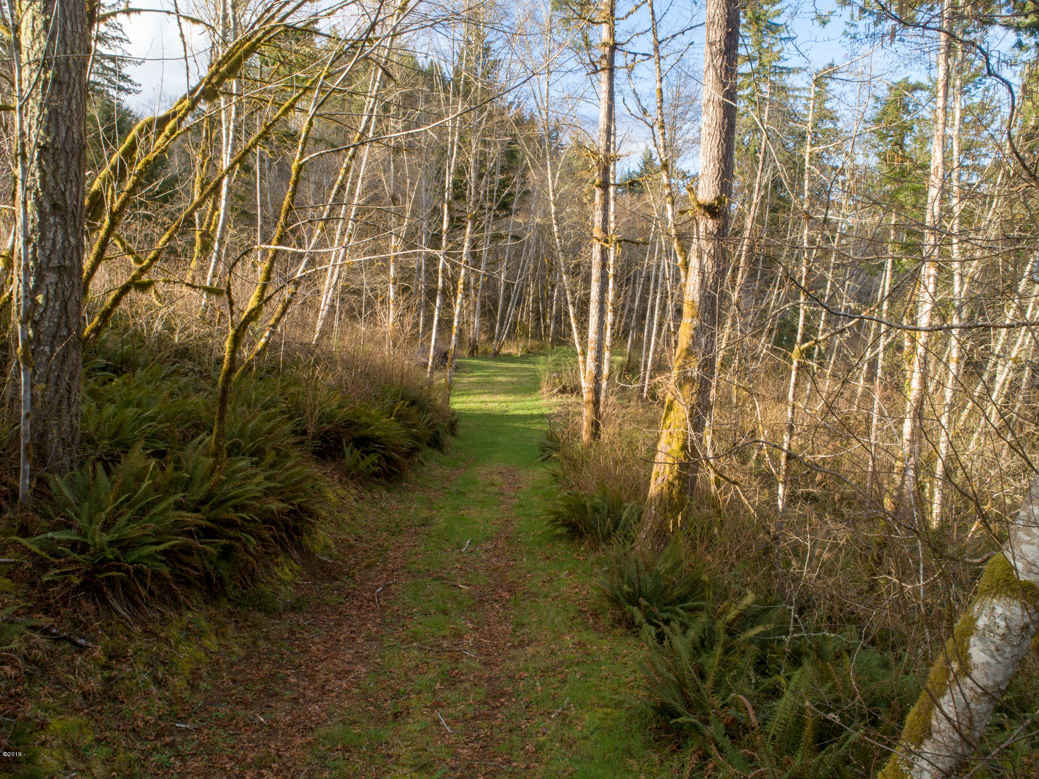 2 Olalla Road Toledo, OR 97391 - Photo 13 of 14 Olalla Road Toledo (13)