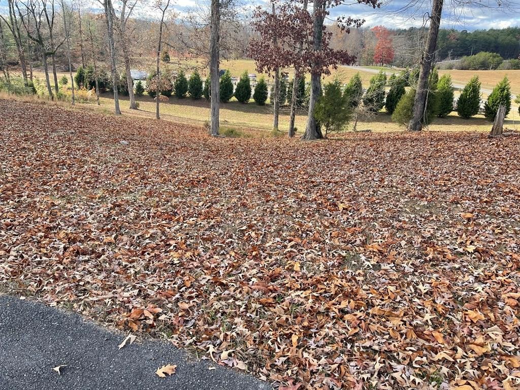 421 Waterfront Way Spring City, TN 37381 - Photo 1 of 40 Gallery Image 1