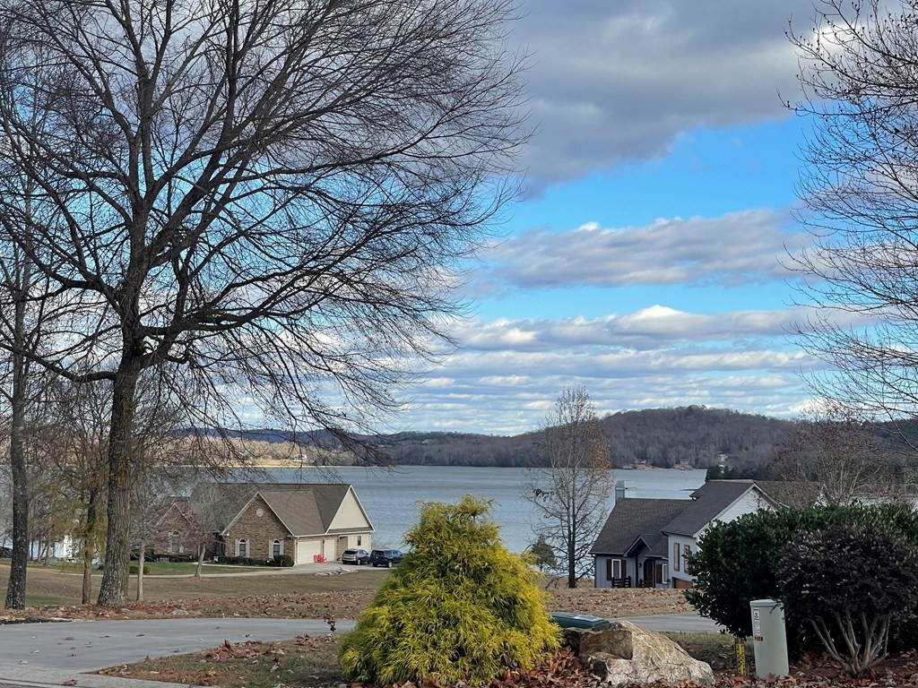 421 Waterfront Way Spring City, TN 37381 - Photo 11 of 40 Gallery Image 11