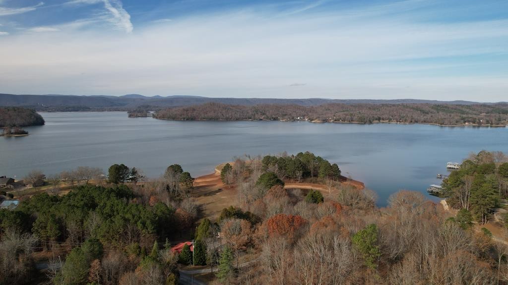421 Waterfront Way Spring City, TN 37381 - Photo 31 of 40 Gallery Image 31