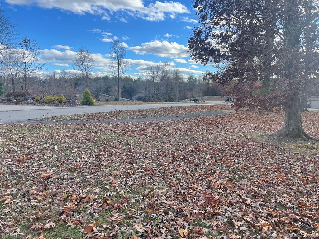 421 Waterfront Way Spring City, TN 37381 - Photo 6 of 40 Gallery Image 6