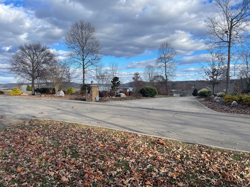 421 Waterfront Way Spring City, TN 37381 - Photo 8 of 40 Gallery Image 8