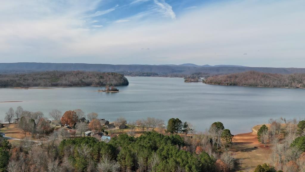 421 Waterfront Way Spring City, TN 37381 - Photo 10 of 40 Gallery Image 10