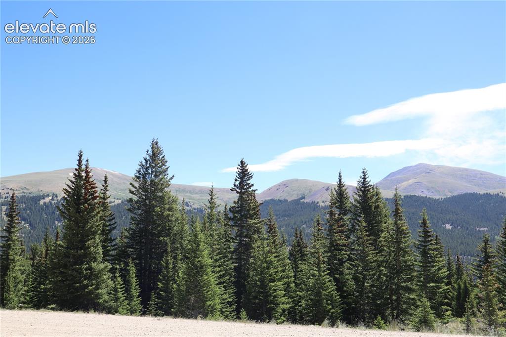 1480 Roberts Road Alma, CO 80420 - Photo 13 of 26