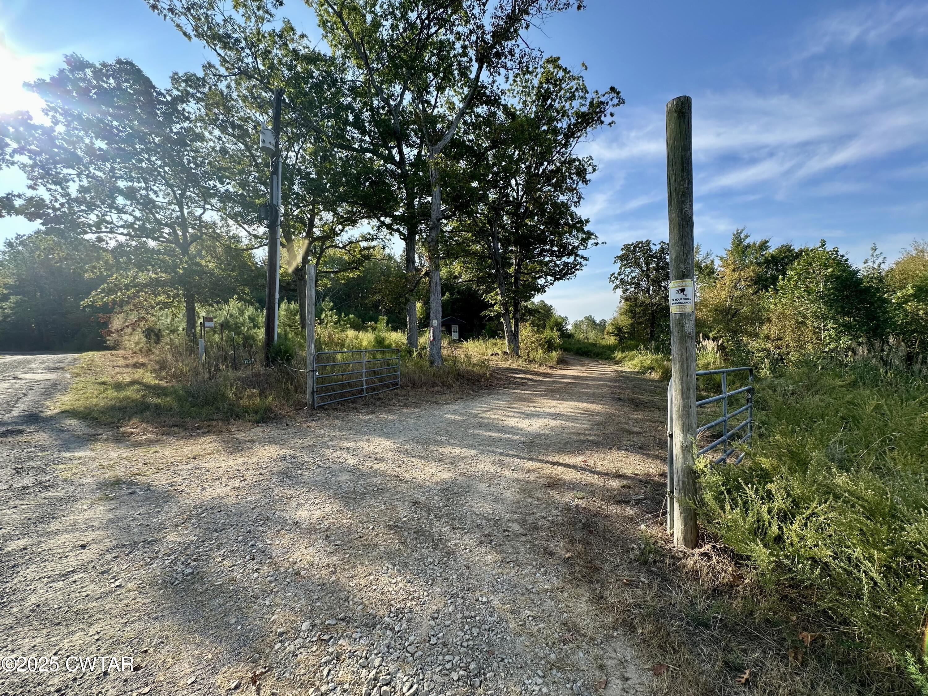 1137 Arl Bailey Road Finger, TN 38334 - Photo 19 of 40 a view of a road with tree next to a road