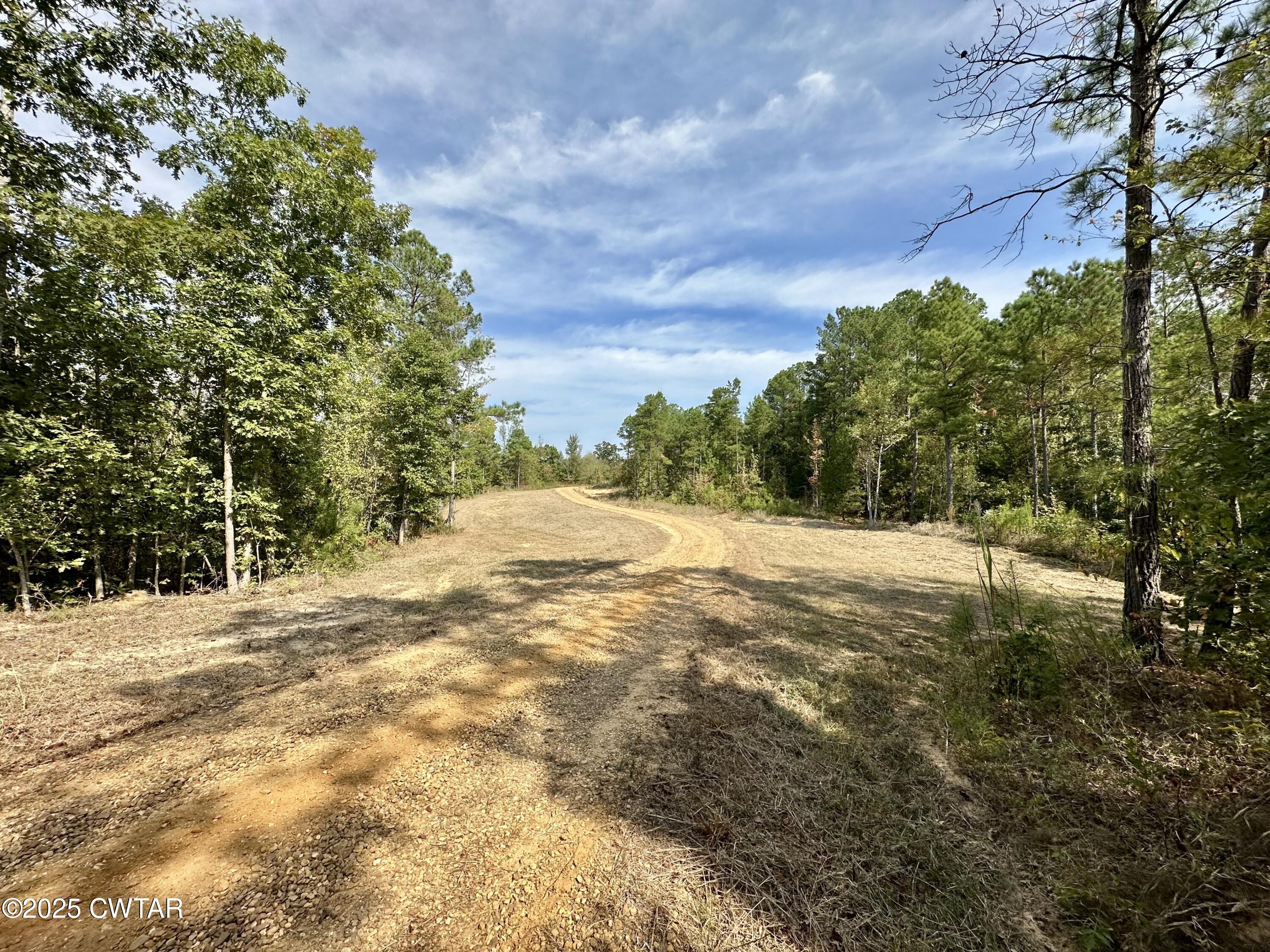 1137 Arl Bailey Road Finger, TN 38334 - Photo 20 of 40 6ED002B1-49F2-4300-80FB-0EF66DF8B541-L0-