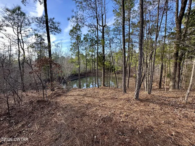 $800,000 | 1137 Arl Bailey Road, Finger, TN 38334