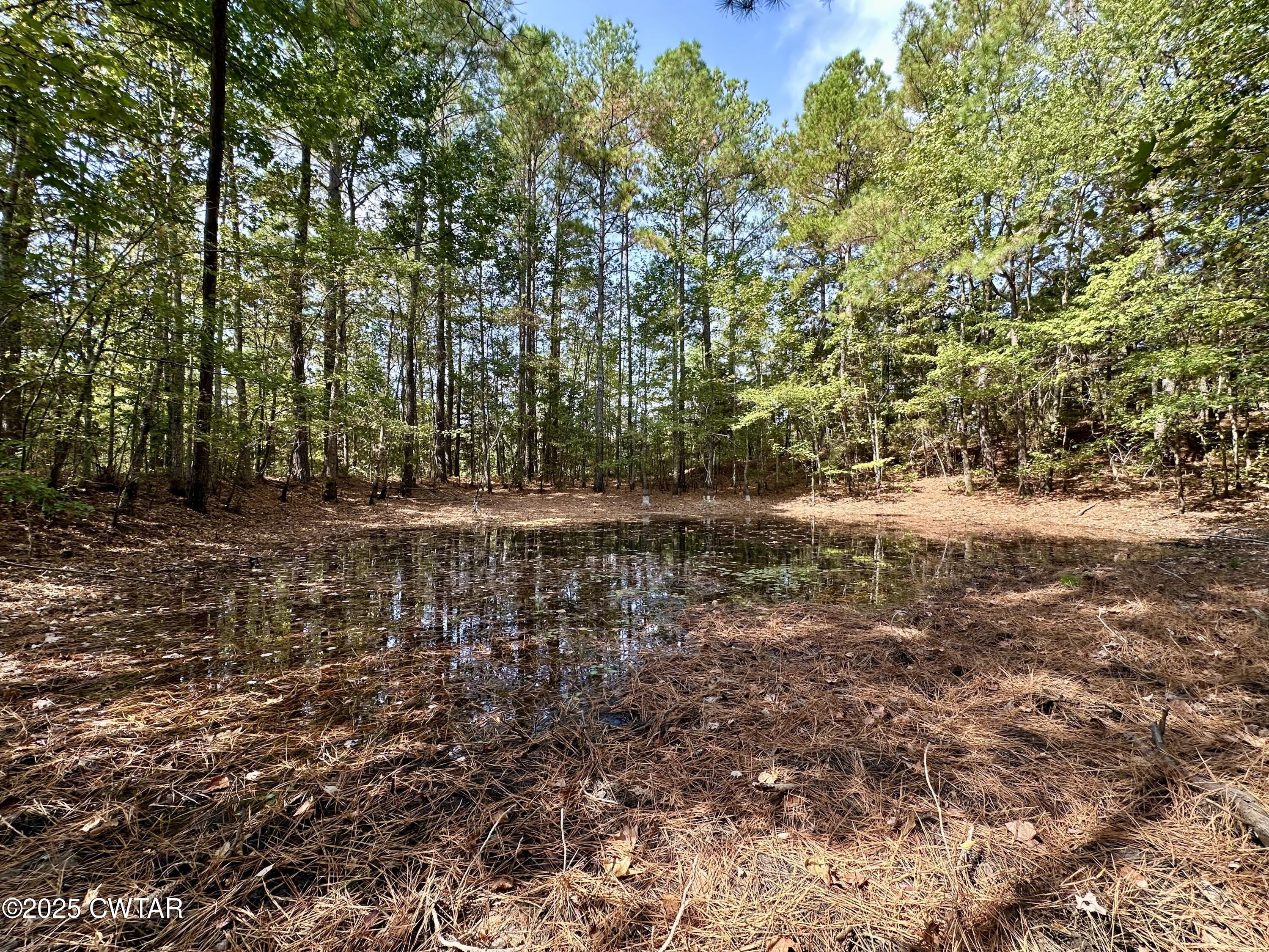 1137 Arl Bailey Road Finger, TN 38334 - Photo 22 of 40 a view of a yard with plants and trees