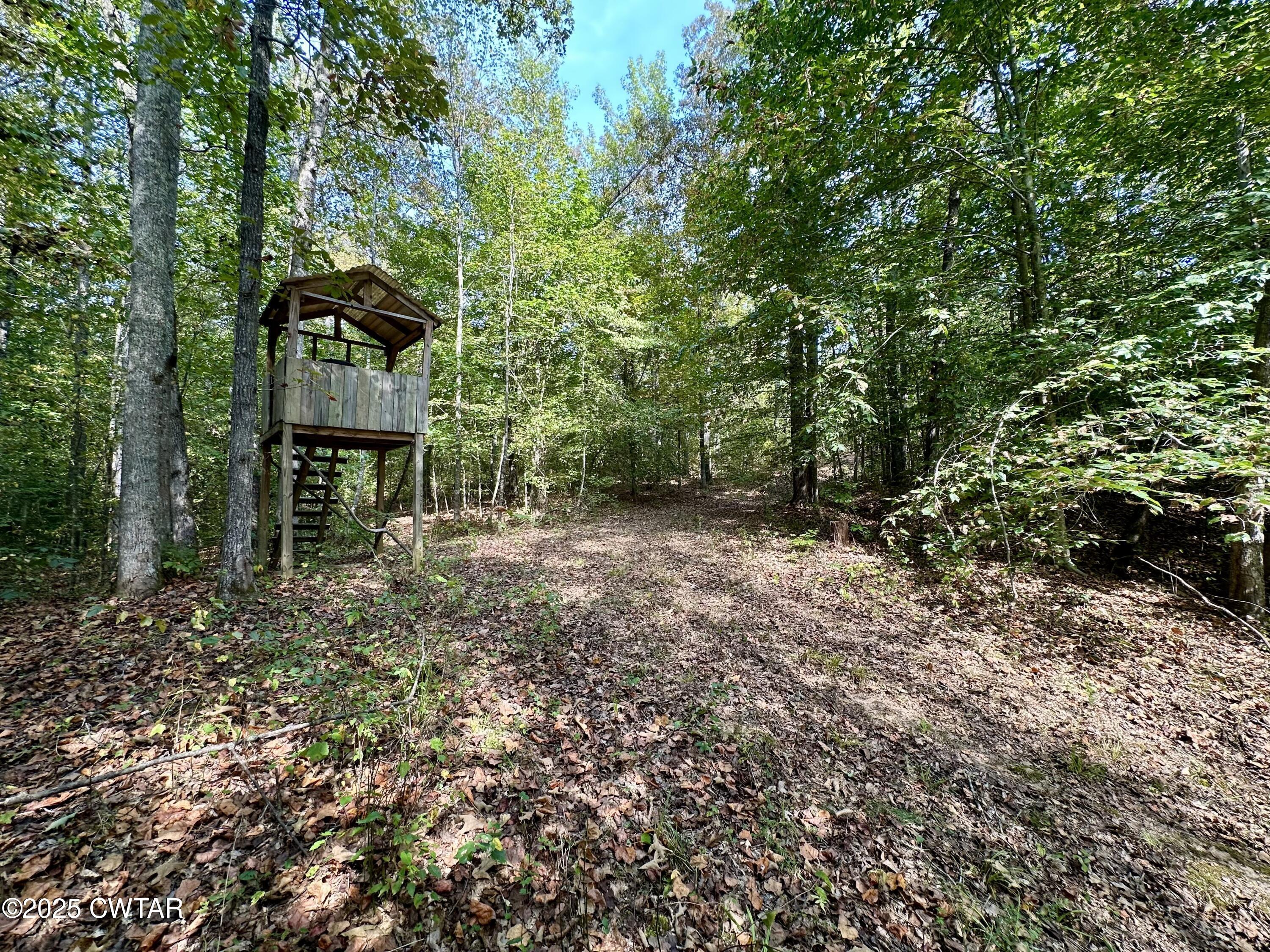 1137 Arl Bailey Road Finger, TN 38334 - Photo 23 of 40 0E13E4A8-D7E1-4402-947B-9D1E5EE280CC-L0-