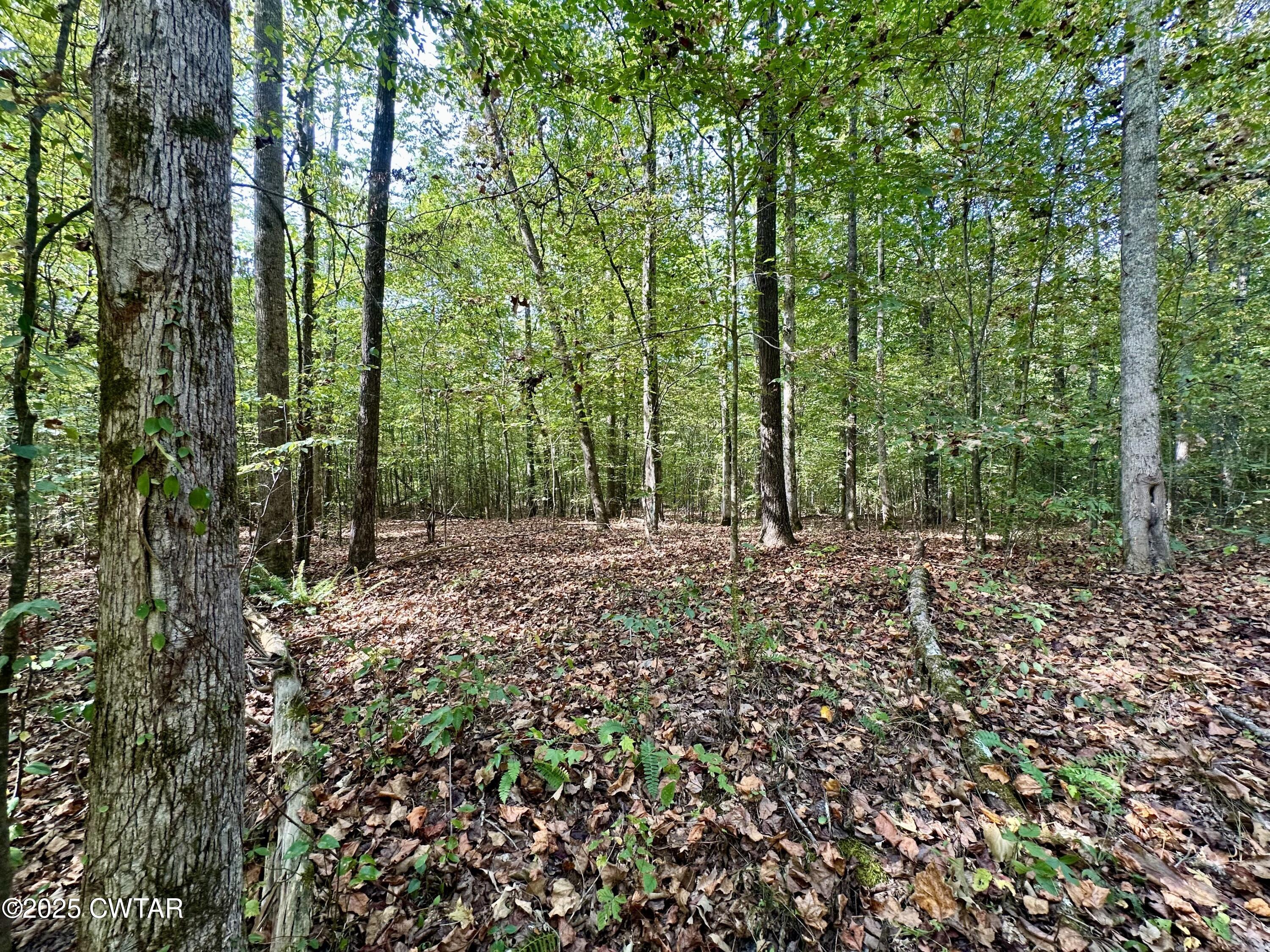 1137 Arl Bailey Road Finger, TN 38334 - Photo 26 of 40 a view of outdoor space and yard