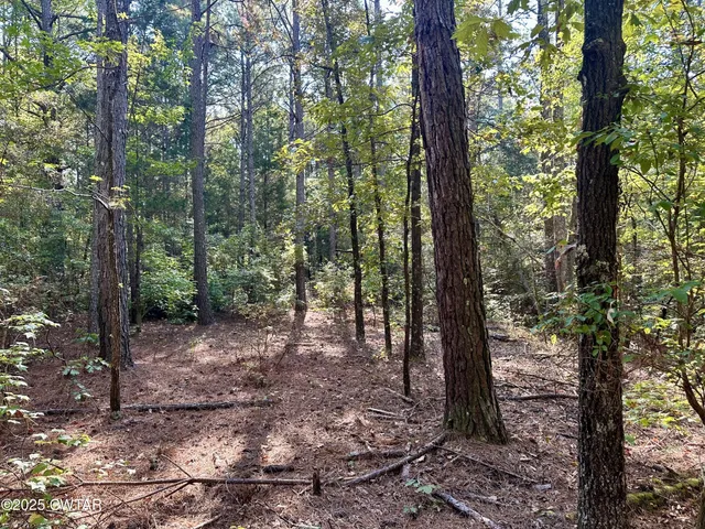 $800,000 | 1137 Arl Bailey Road, Finger, TN 38334