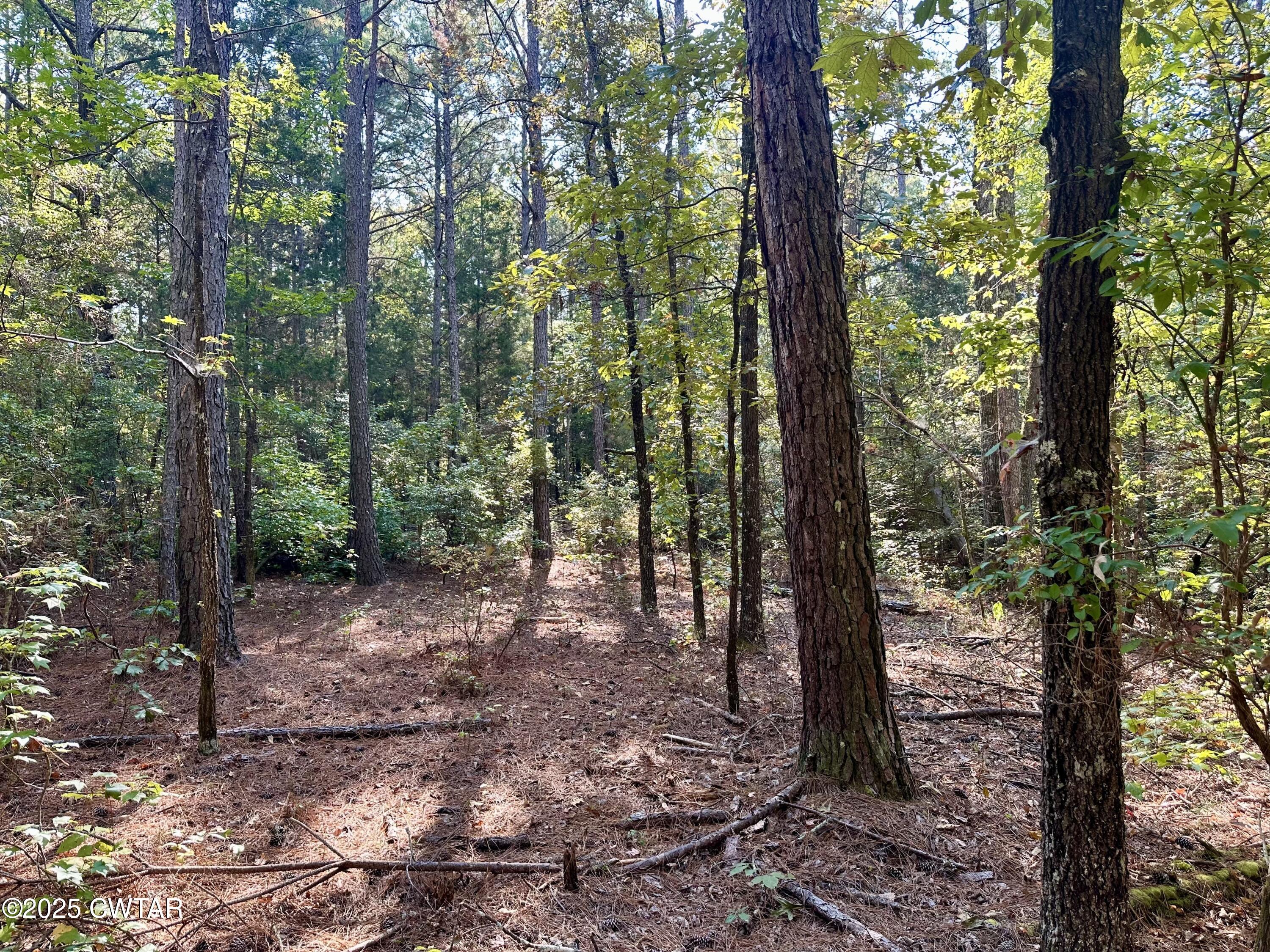 1137 Arl Bailey Road Finger, TN 38334 - Photo 27 of 40 F0B431FA-BE8C-493C-A9FF-DFD5D65A33F4-L0-