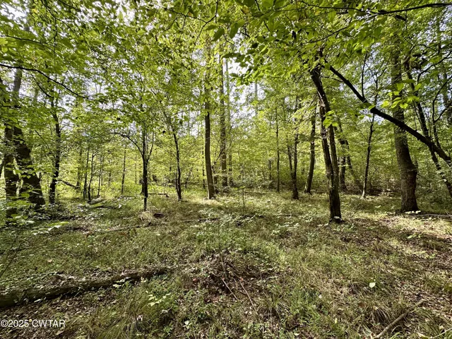 $800,000 | 1137 Arl Bailey Road, Finger, TN 38334