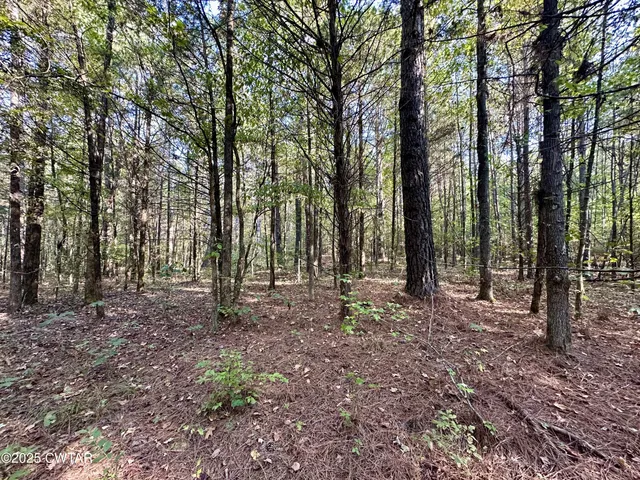 $800,000 | 1137 Arl Bailey Road, Finger, TN 38334