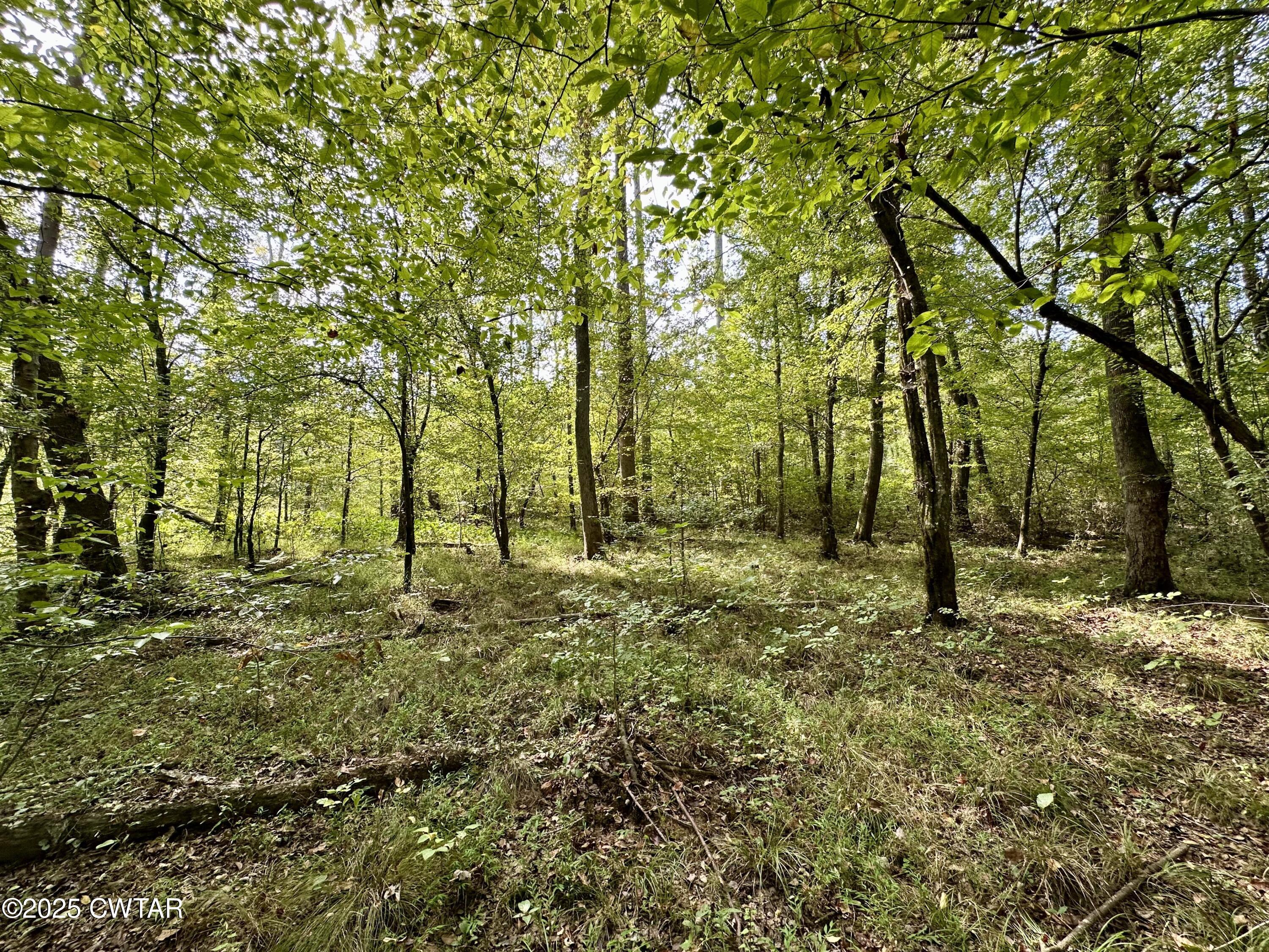 1137 Arl Bailey Road Finger, TN 38334 - Photo 30 of 40 209AF0CE-C992-4C4D-98F2-F1551758F2A1-L0-