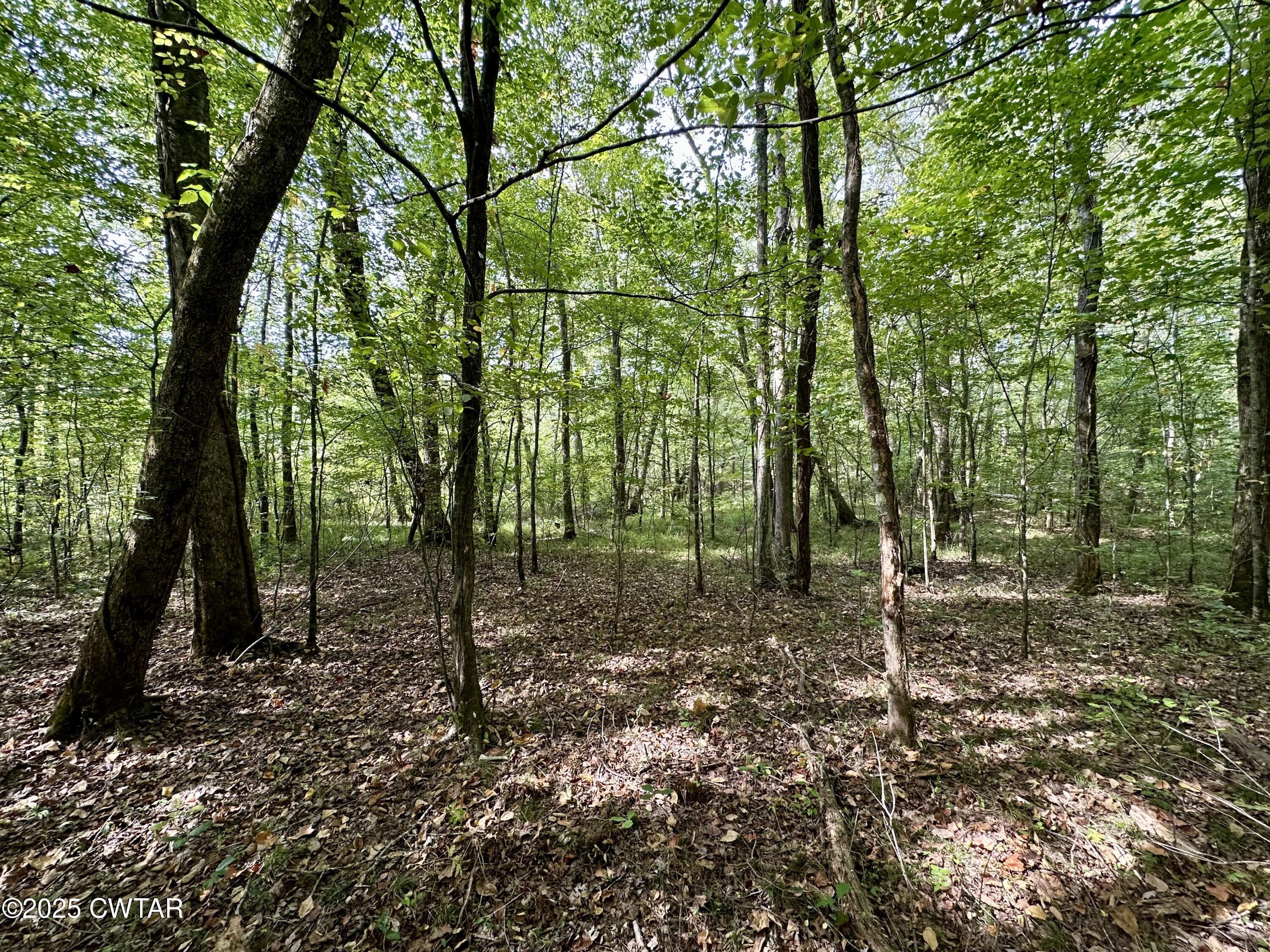 1137 Arl Bailey Road Finger, TN 38334 - Photo 31 of 40 a view of outdoor space with trees