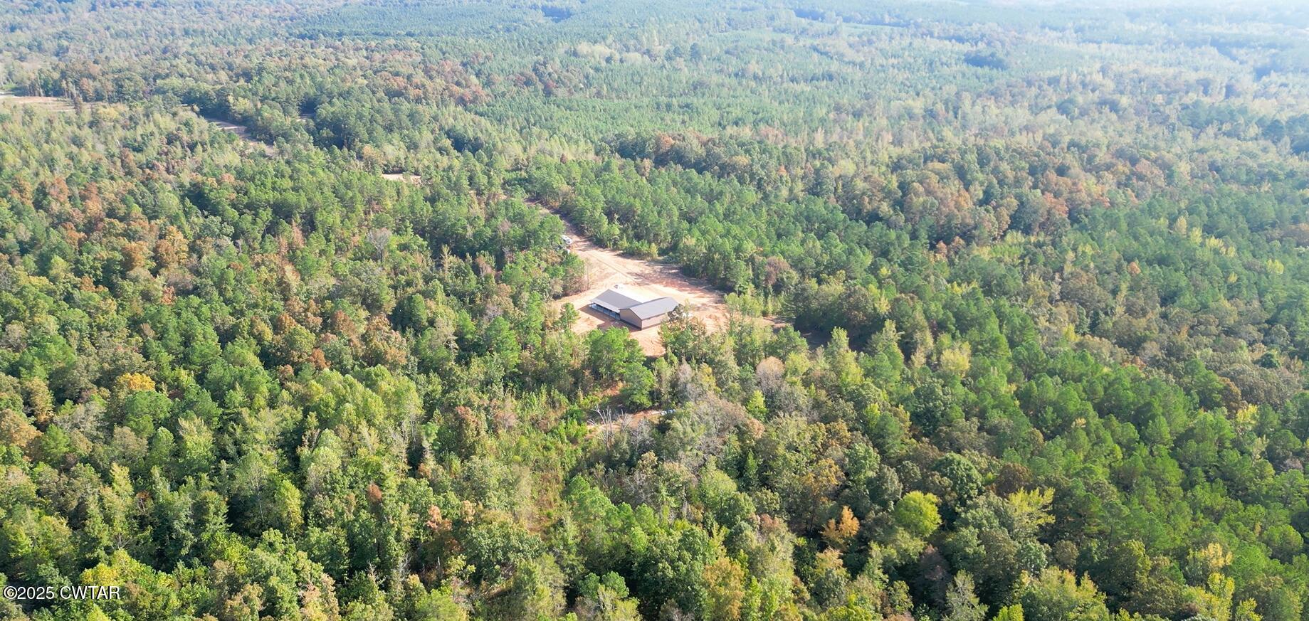 1137 Arl Bailey Road Finger, TN 38334 - Photo 40 of 40 a view of a lush green forest with a lush green forest