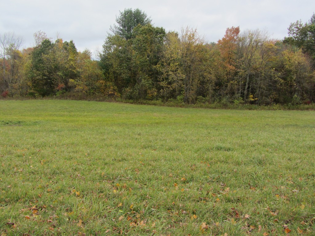 0 Mort Vining Road Southwick, MA 01077 - Photo 3 of 11 Gallery Image 3