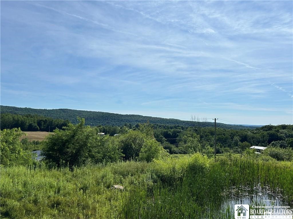 256 Bragg Road Carroll, NY 14738 - Photo 4 of 44