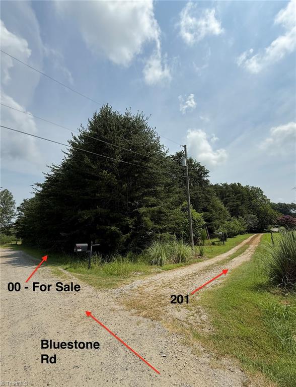 0 Bluestone Road Pelham, NC 27311 - Photo 4 of 5