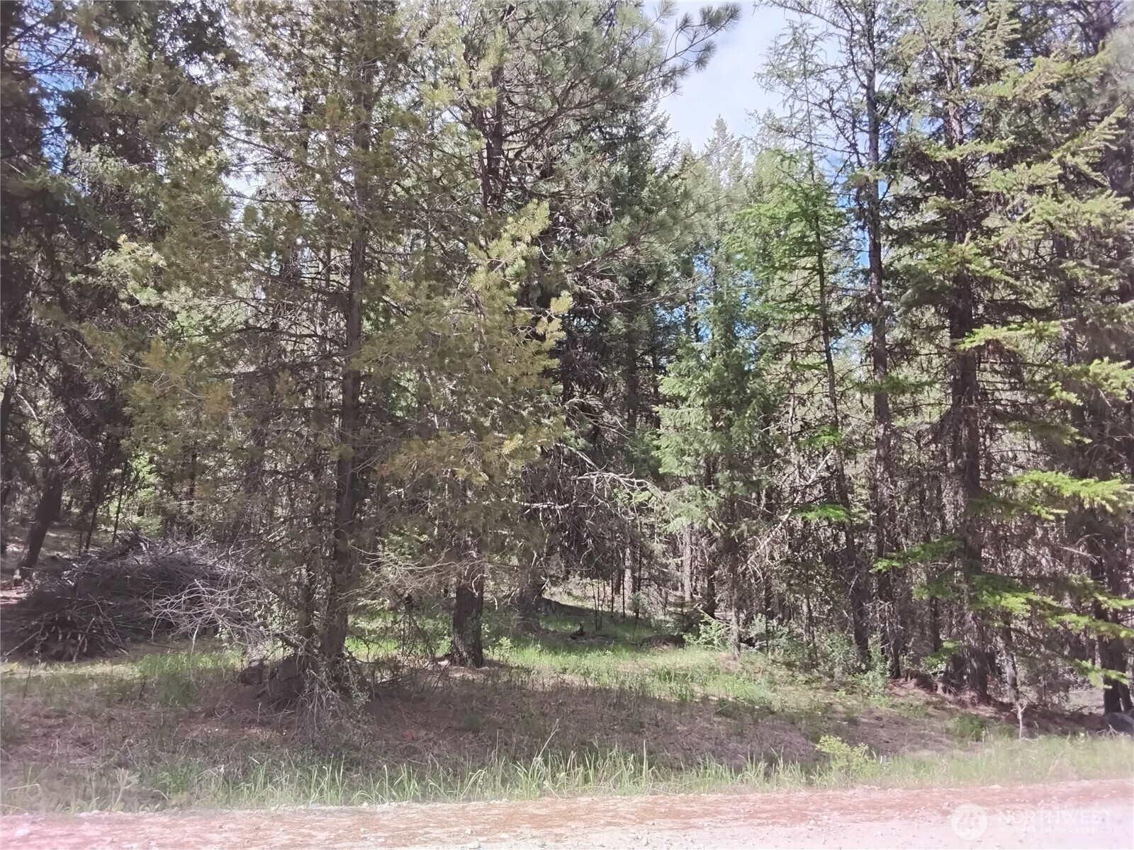 260 Forest Service 30 Road Tonasket, WA 98855 - Photo 21 of 40 Gallery Image 21