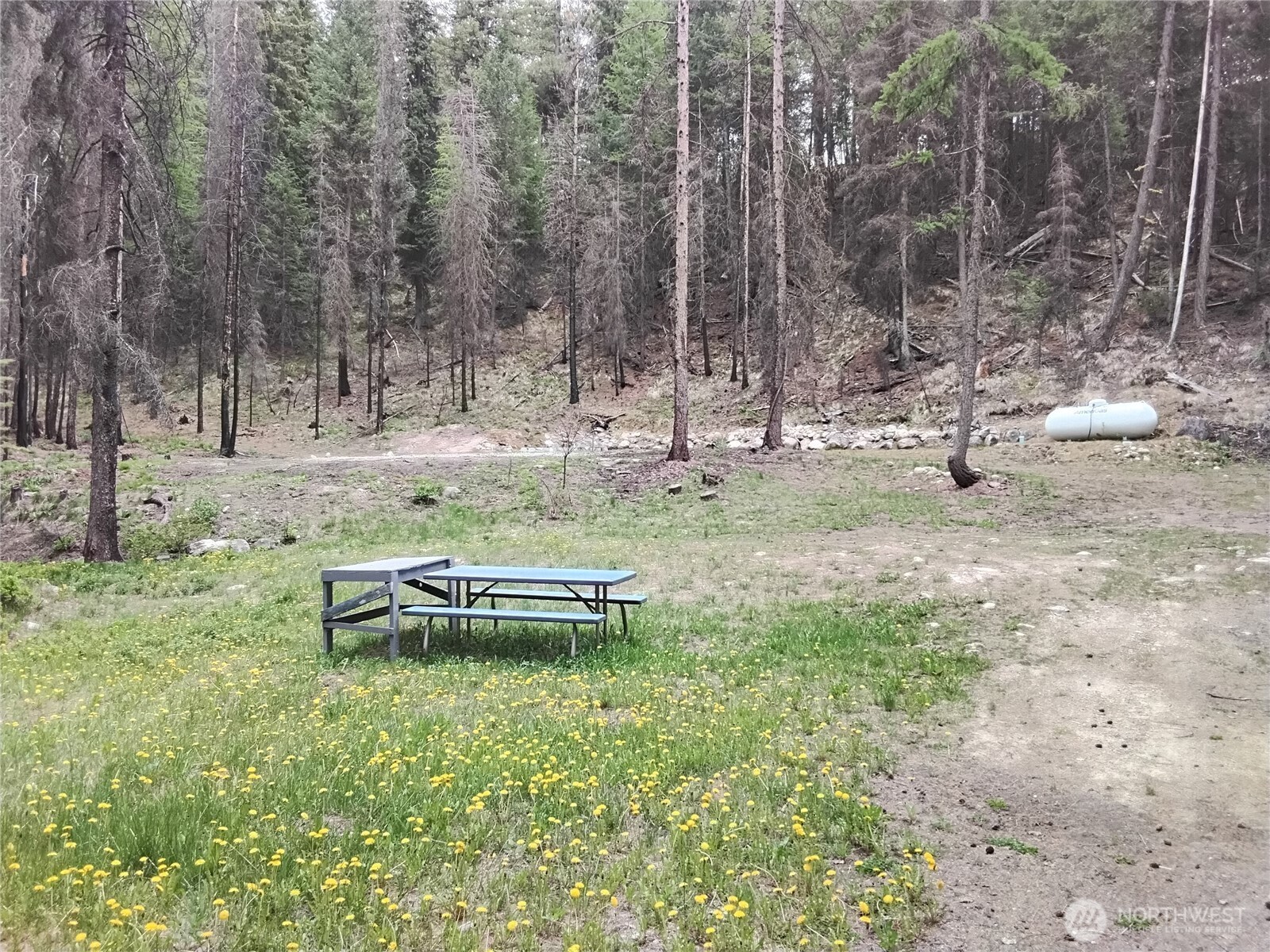 260 Forest Service 30 Road Tonasket, WA 98855 - Photo 24 of 40 Gallery Image 24