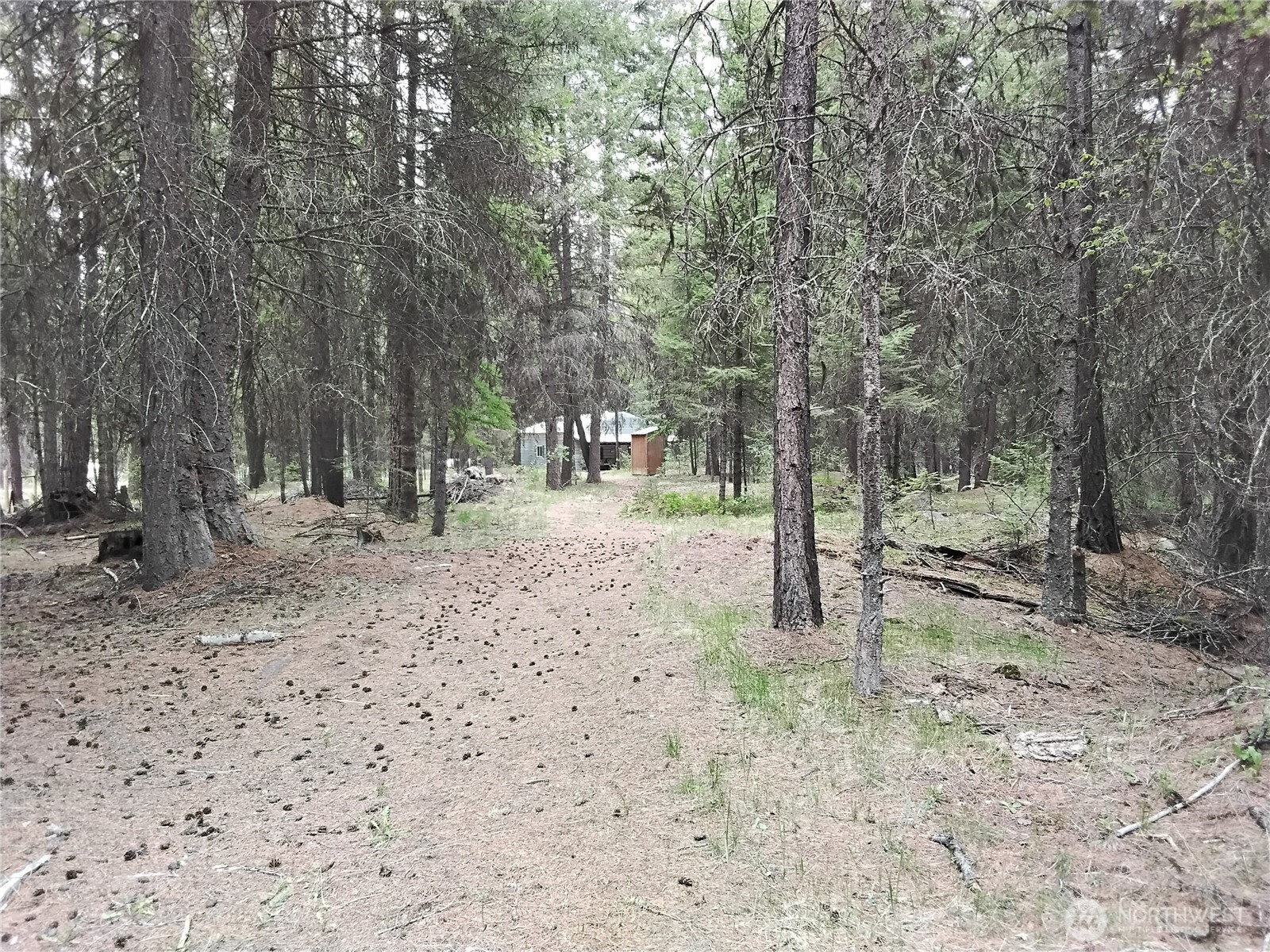 260 Forest Service 30 Road Tonasket, WA 98855 - Photo 25 of 40 Gallery Image 25