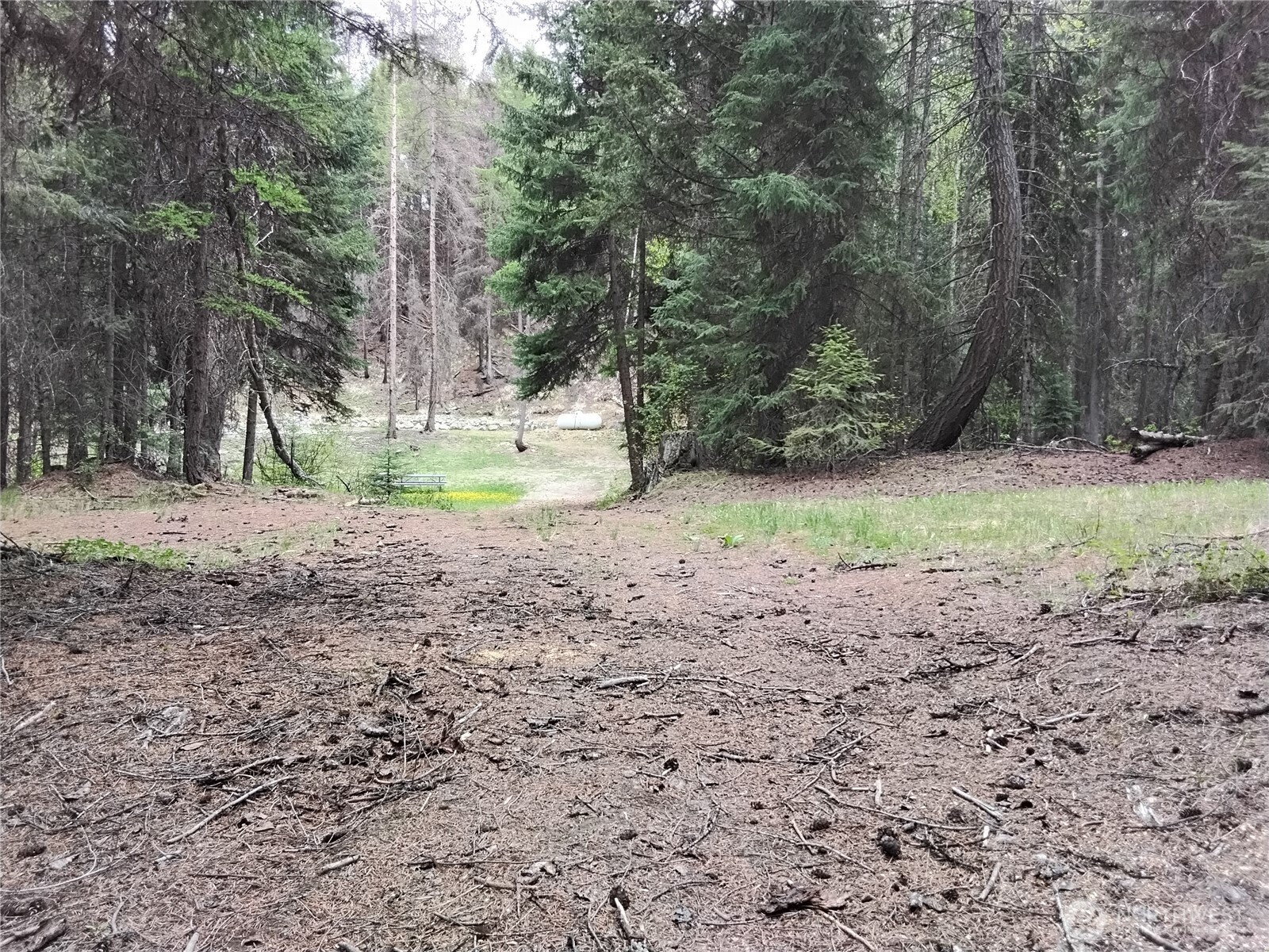 260 Forest Service 30 Road Tonasket, WA 98855 - Photo 29 of 40 Gallery Image 29
