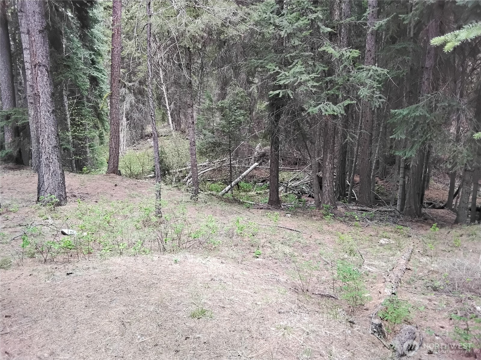 260 Forest Service 30 Road Tonasket, WA 98855 - Photo 34 of 40 Gallery Image 34