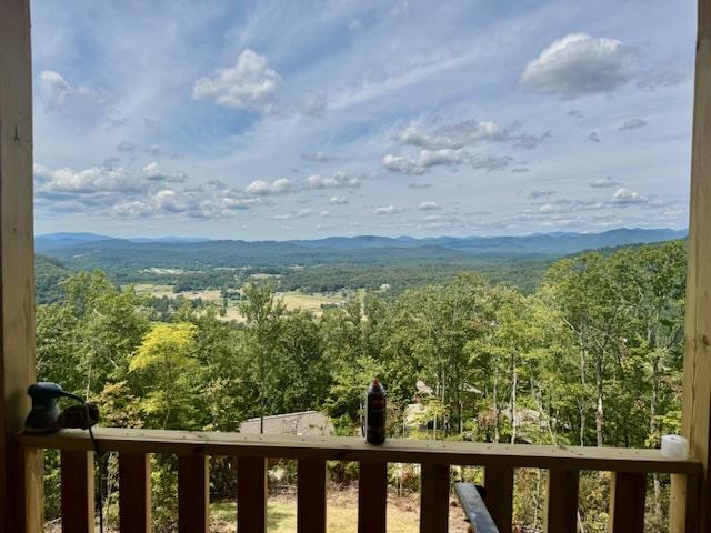 191 Raccoon Rdg Trail Murphy, NC 28906 - Photo 1 of 5 Main View