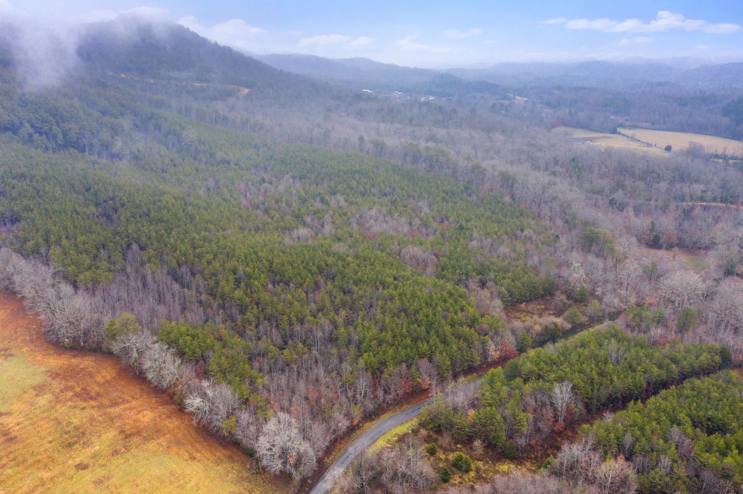 Baker Road Tellico Plains, TN 37385 - Photo 14 of 31 Wiggins_Rd-10