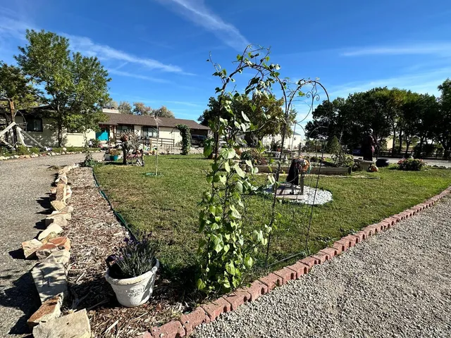 a view of a garden with a fountain