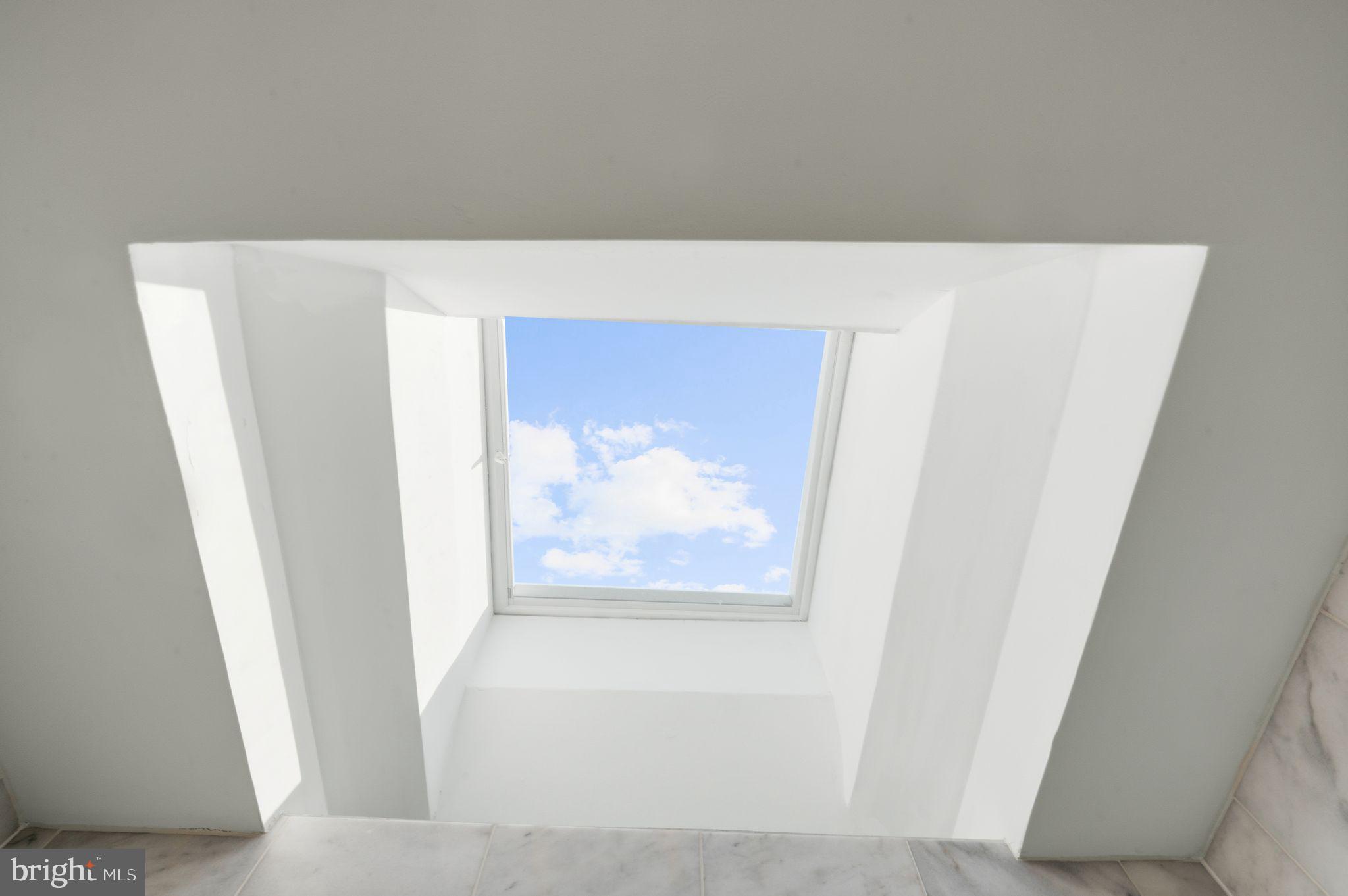 2129 4th Street Northeast Washington, DC 20002 - Photo 37 of 76 Sky Light
