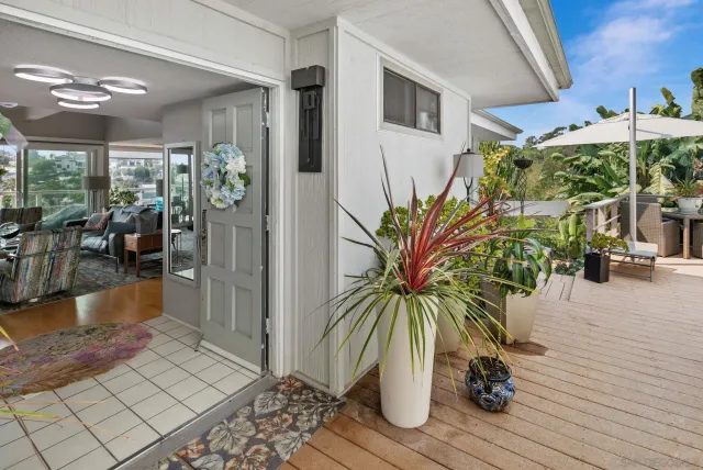 a potted plant sitting in front of a house